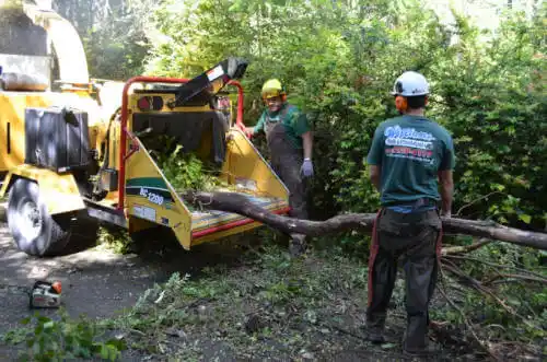 tree services LaGrange